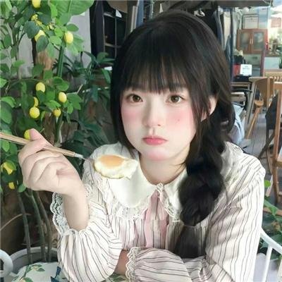 毛发封面